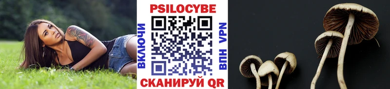 наркота  Волоколамск  Псилоцибиновые грибы ЛСД 